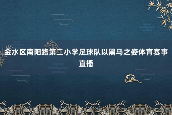 金水区南阳路第二小学足球队以黑马之姿体育赛事直播
