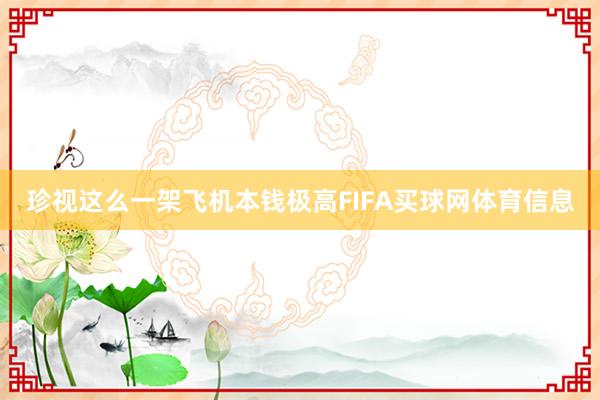 珍视这么一架飞机本钱极高FIFA买球网体育信息
