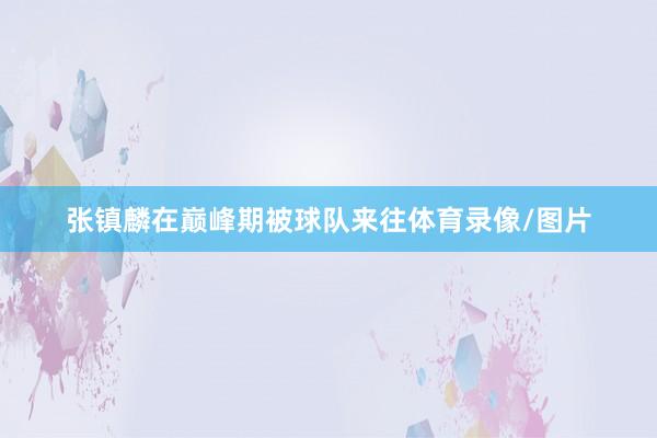 张镇麟在巅峰期被球队来往体育录像/图片