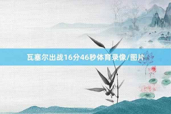 瓦塞尔出战16分46秒体育录像/图片